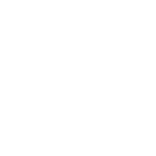 THE RIP BUDDY – The Rip Buddy